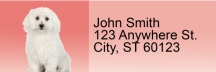 Adorable Bichons Address Labels
