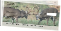 Big Horned Buck Deer Side Tear Checks