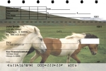Horses Top Stub Checks